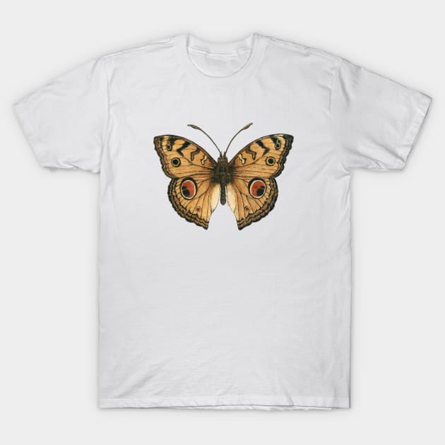 Peacock pansy butterfly T-Shirt by katerinamk